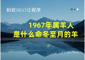 1967年属羊人是什么命冬至月的羊