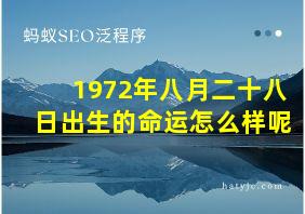 1972年八月二十八日出生的命运怎么样呢