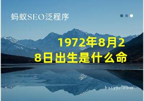 1972年8月28日出生是什么命