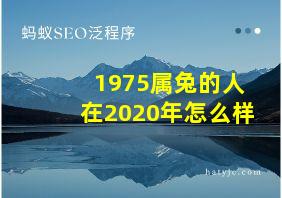 1975属兔的人在2020年怎么样