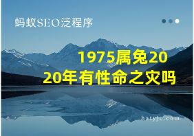 1975属兔2020年有性命之灾吗