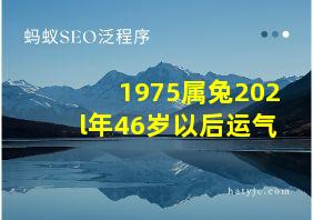 1975属兔202l年46岁以后运气