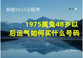 1975属兔48岁以后运气如何买什么号码