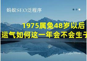 1975属兔48岁以后运气如何这一年会不会生子