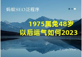 1975属兔48岁以后运气如何2023