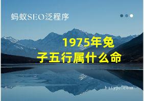 1975年兔子五行属什么命