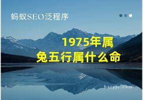 1975年属兔五行属什么命