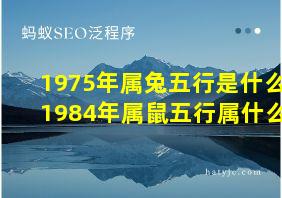 1975年属兔五行是什么1984年属鼠五行属什么