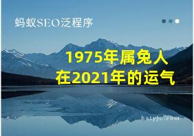 1975年属兔人在2021年的运气