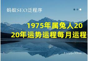 1975年属兔人2020年运势运程每月运程