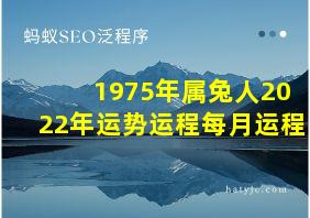 1975年属兔人2022年运势运程每月运程