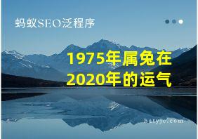 1975年属兔在2020年的运气