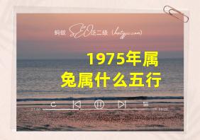 1975年属兔属什么五行