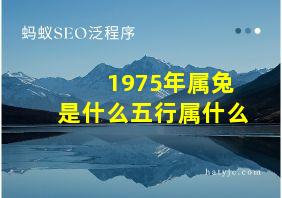 1975年属兔是什么五行属什么