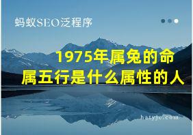 1975年属兔的命属五行是什么属性的人