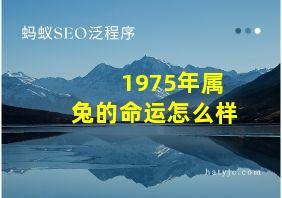 1975年属兔的命运怎么样