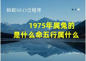 1975年属兔的是什么命五行属什么