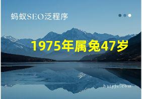 1975年属兔47岁