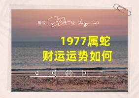 1977属蛇财运运势如何