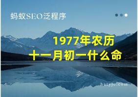 1977年农历十一月初一什么命