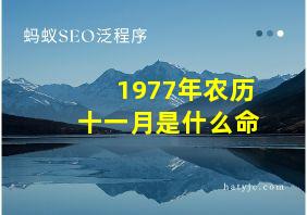 1977年农历十一月是什么命