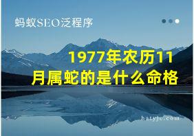 1977年农历11月属蛇的是什么命格