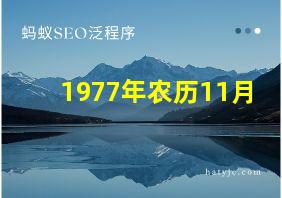 1977年农历11月