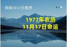 1977年农历11月17日命运