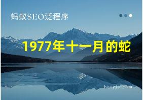 1977年十一月的蛇