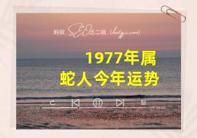 1977年属蛇人今年运势