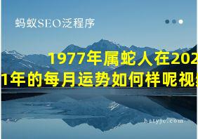 1977年属蛇人在2021年的每月运势如何样呢视频