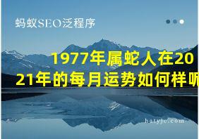 1977年属蛇人在2021年的每月运势如何样呢