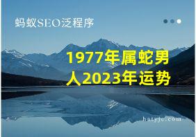 1977年属蛇男人2023年运势