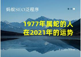 1977年属蛇的人在2021年的运势