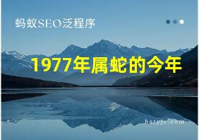 1977年属蛇的今年