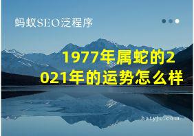 1977年属蛇的2021年的运势怎么样