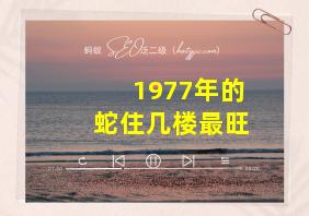 1977年的蛇住几楼最旺