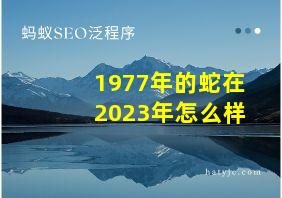 1977年的蛇在2023年怎么样