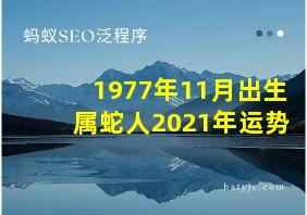 1977年11月出生属蛇人2021年运势