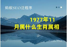 1977年11月属什么生肖属相