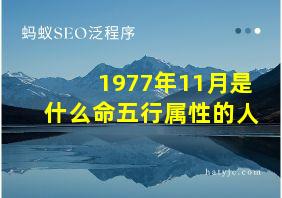 1977年11月是什么命五行属性的人