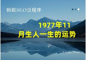 1977年11月生人一生的运势