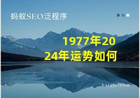 1977年2024年运势如何