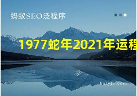 1977蛇年2021年运程