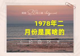 1978年二月份是属啥的