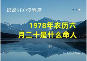 1978年农历六月二十是什么命人