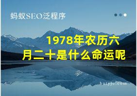 1978年农历六月二十是什么命运呢