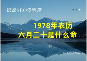 1978年农历六月二十是什么命