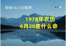 1978年农历6月20是什么命