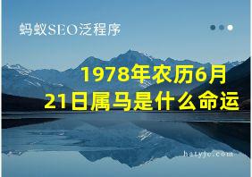 1978年农历6月21日属马是什么命运